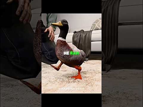 The Man Loved His Duck 🦆❤️