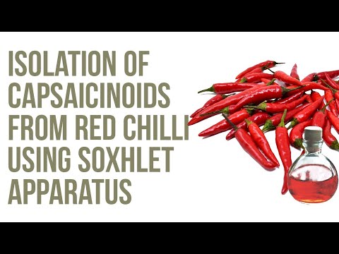 Isolation of capsaicinoids from Red Chilli ( Capsicum ) using Soxhlet Apparatus