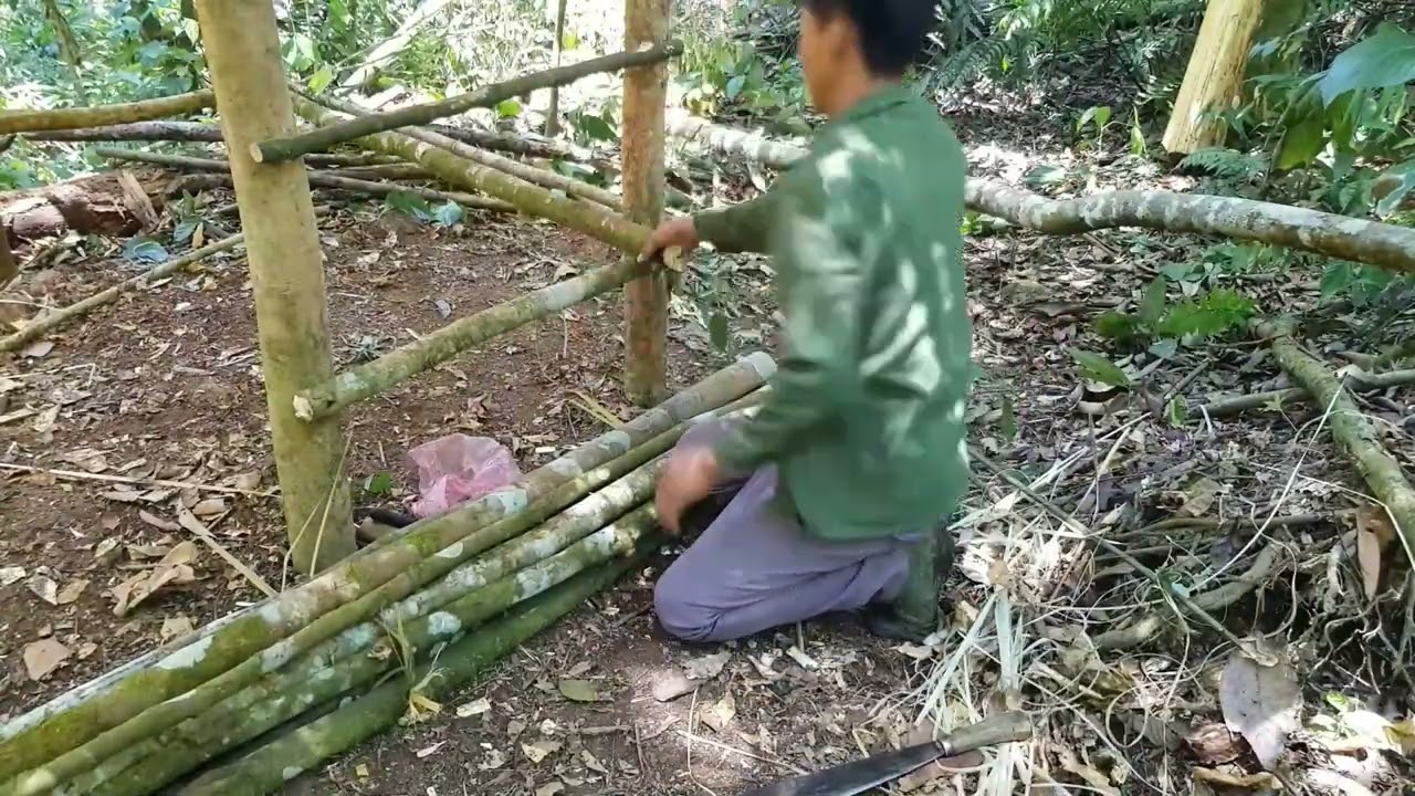 48 Hours in the Forest – Building a Shelter & Surviving Off the Land