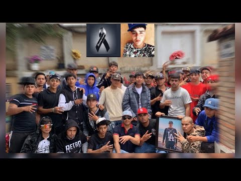 Mi ultimo Adios - Tony Márquez