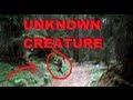 WTF UNKNOWN CREATURE CAUGHT ON TAPE ...