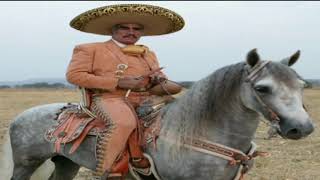 MI AMIGO EL TORDILLO VICENTE FERNANDEZ