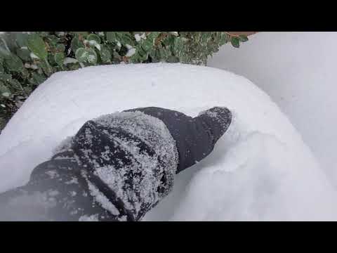 February 2021. Record Low-Temps and Snowstorm. Memphis, TN.