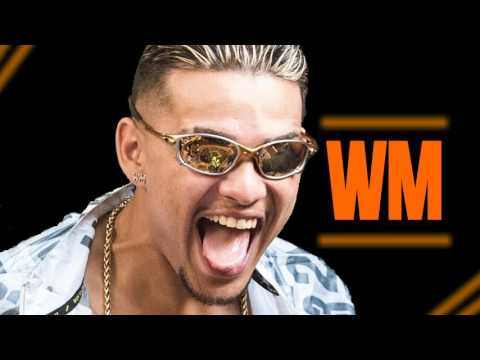 MC WM e MC Dant - Quer Me Controlar (ÁudioKlap e DJ Will o Cria) Lançamento 2017