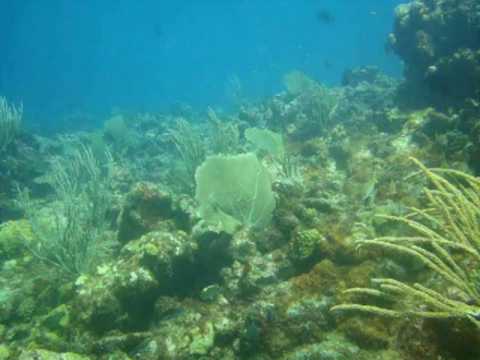 Coral Gardens, Antigua,Antigua und Barbuda