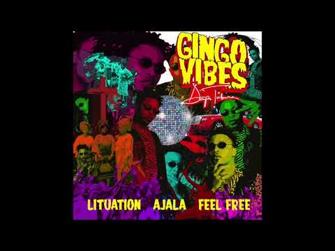 Gingo Fka Dapo Tuburna - Lituation (Official Audio)