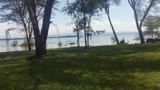 preview picture of video 'Lake Naivasha Kenya'