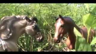 Kanaretah~One who rides with the clouds~ Part2