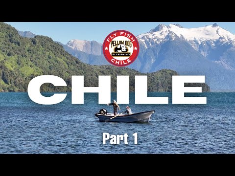 Fly Fishing Chile - Part 1: Yellow Dog Field Reports