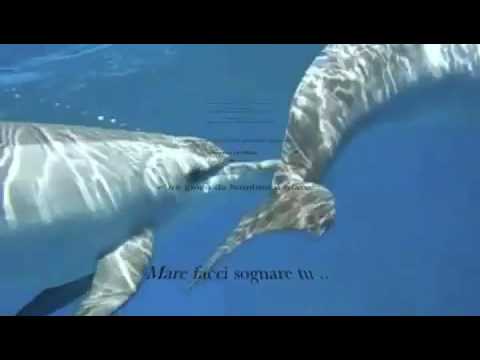 Delfini....Domenico e Massimo Modugno