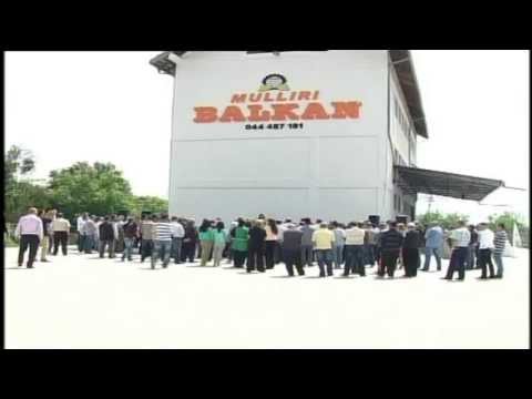 MULLIRI BALKAN - PROMOVOI PRODUKTIN E RI TE MIELLIT INTEGRAL