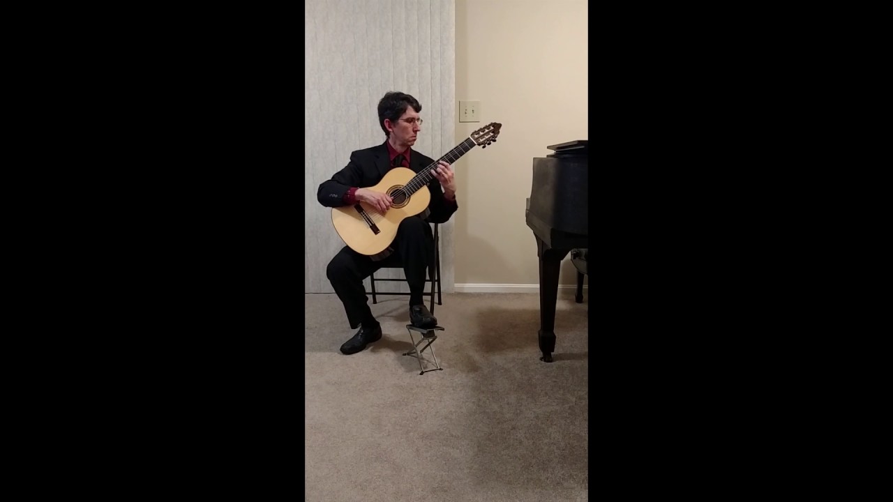 Promotional video thumbnail 3 for Seidenman's Guitar