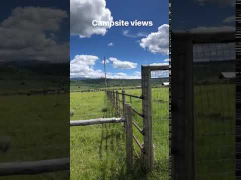 Tent site next to some horses!