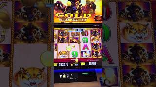 BIG WIN on my BIRTHDAY!!