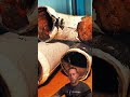 They Made Sewer Pipe From Fiber and Tar