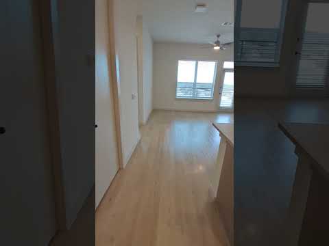 Chisholm Kitchen, Living Room, Entry