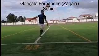 Musik-Video-Miniaturansicht zu Hino do Tramagal Songtext von Football Anthems Portugal