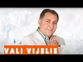 VALI VIJELIE Lasa L Sa Plece NOU 2020