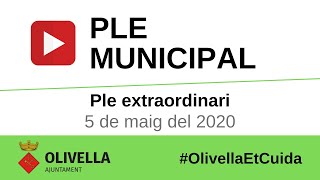 Ple extraordinari del 5 de maig del 2020