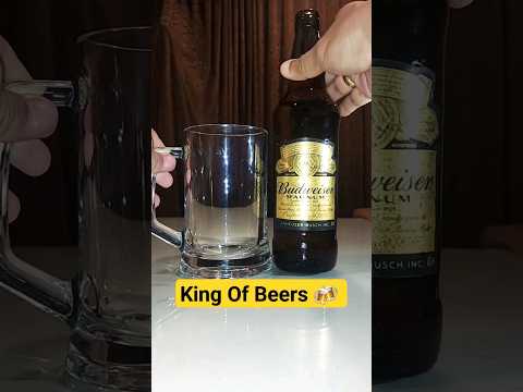 King Of Beers Budweiser Magnum #youtubeshorts #shortsfeed #budweiser #beer #asmr