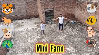 Mini Zoo Ka Liya Jaga La Li 🐠 - Mini Farm For Our New Birds & Animals 🦙 - Petting Zoo | 3mbvlogs