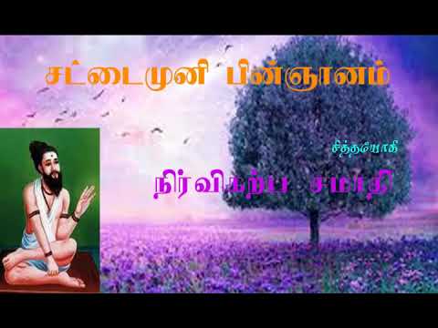 ச.சி.42- மனம் ஜீவனில் கரைந்து போவதே நிர்விகற்ப சமாதி ச.சி.42- மனம் ஜீவனில் கரைந்து போவதே நிர்விகற்ப சமாதி