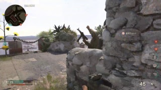 [配信テストかねて] ごけさんがゾンビ凸するCOD:WWII [生放送]