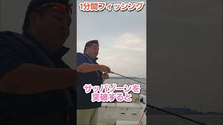 アジ・イワシ