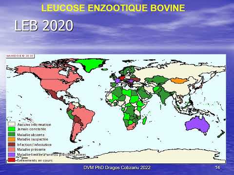 , title : 'LEUCOSE ENZOOTIQUE BOVINE - ANÉMIE INFECTIEUSE ÉQUINE 2022 TP 9'