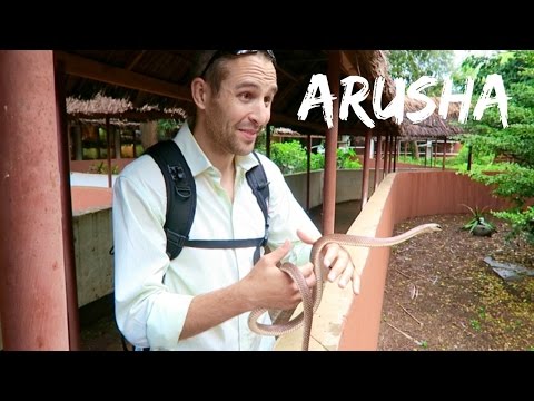 Tanzania Travel Vlog - Arusha, Tengeru |