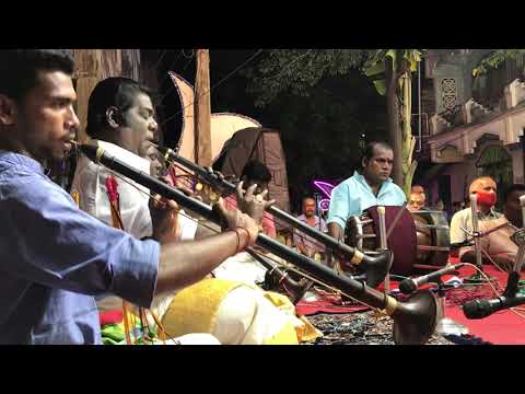 Endaro Mahanubhavulu | Ragam | Sri | Nagaswaram Thiruvisanallur T.P.J.Selvarathinam