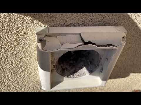 Rats Enter the Broken Dryer Vent in Far Hills, NJ