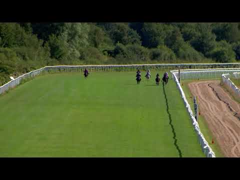 Lopp 1 16 Augusti 2020 Göteborg Galopp