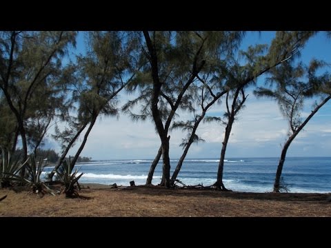 La Réunion - ein tropisches Paradies für Kenner