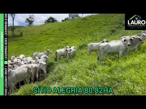SÍTIO ALEGRIA / 80.82HA / MONTE FORMOSO MG