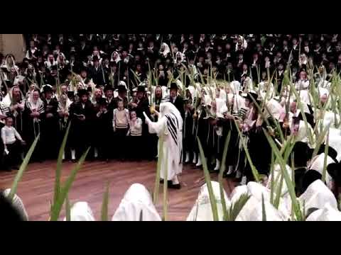 Hoshana Rabbah 5782 With Bobover Rebbe