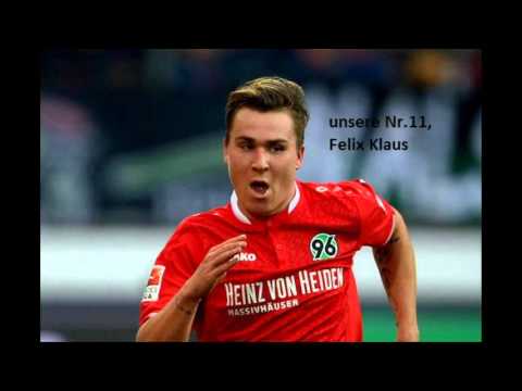 Hannover 96 Hinrunde Saison 2015/2016