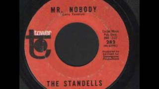 The Standells - Mr Nobody.wmv