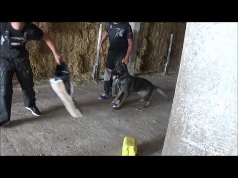 Hesi Zde-Sko - protection 6/2020 - helper Denis Soldan