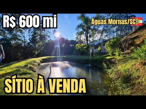 SÍTIO COM RIACHO E MUITA NATUREZA EM ÁGUAS MORNAS SC