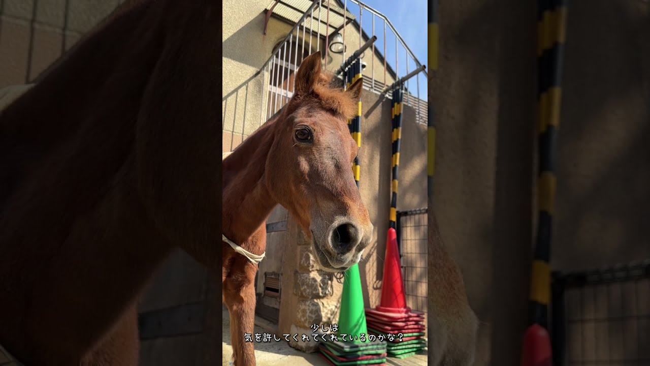 ふれあい広場カカバのカッピー