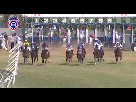 RM26 R5 - Purple Tractor