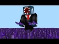 Why I M Stealing Minecraft Shoes