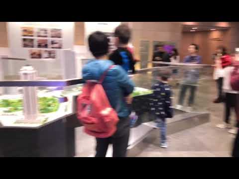 MDZ en China - Línea del tiempo