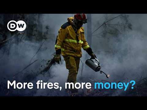 Wildfires spark calls for more EU funds | DW news