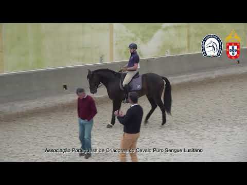 220428 8 Proj Ensino APSL&FEP - Luis Fernandes com Nescafé