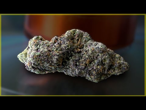 Gary Payton Marjiuana Monday