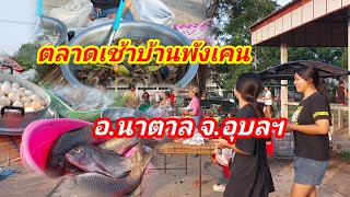 ตลาดเช้าบ้านพังเคนพังเคน#อำเภอนาตาล