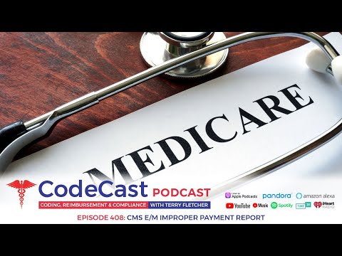 Cms E M Improper Payment Report