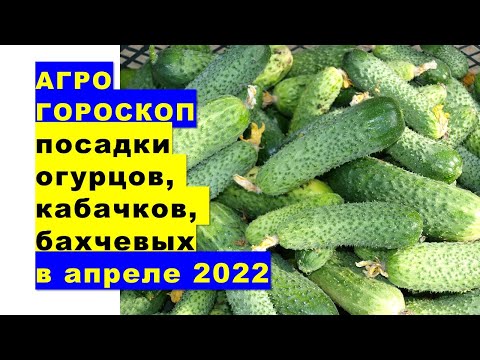, title : 'Агрогороскоп посева семян огурцов, кабачков, арбузов, дынь на рассаду в апреле 2022 года'